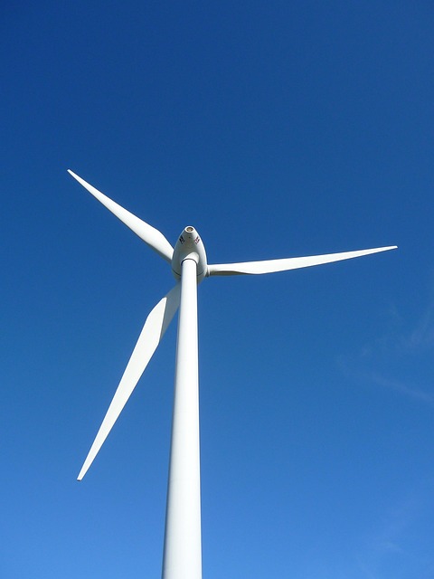 Energía Eólica y su Impacto en la Conservación del Medio Ambiente
